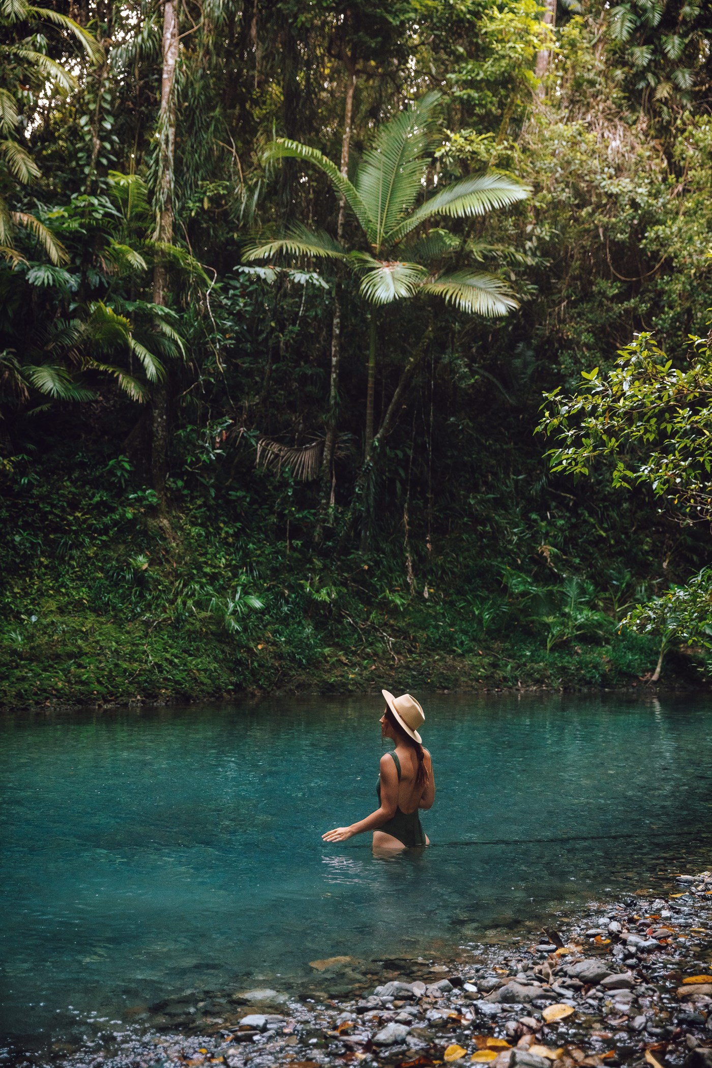 Destination Daintree: Things to do in the World’s Oldest Rainforest ...